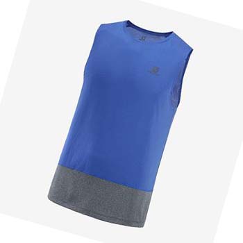 Camiseta Salomon CROSS RUN Hombre Azules | MX 3232UZG